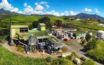 Top 7 des Meilleures Distilleries de Guadeloupe